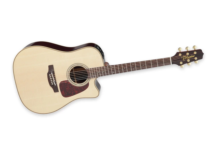 Takamine P5DC Dreadnought, cutaway. 